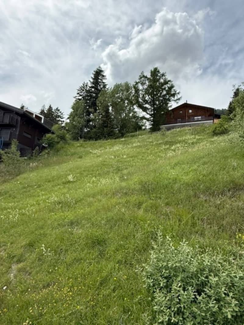 Image-1