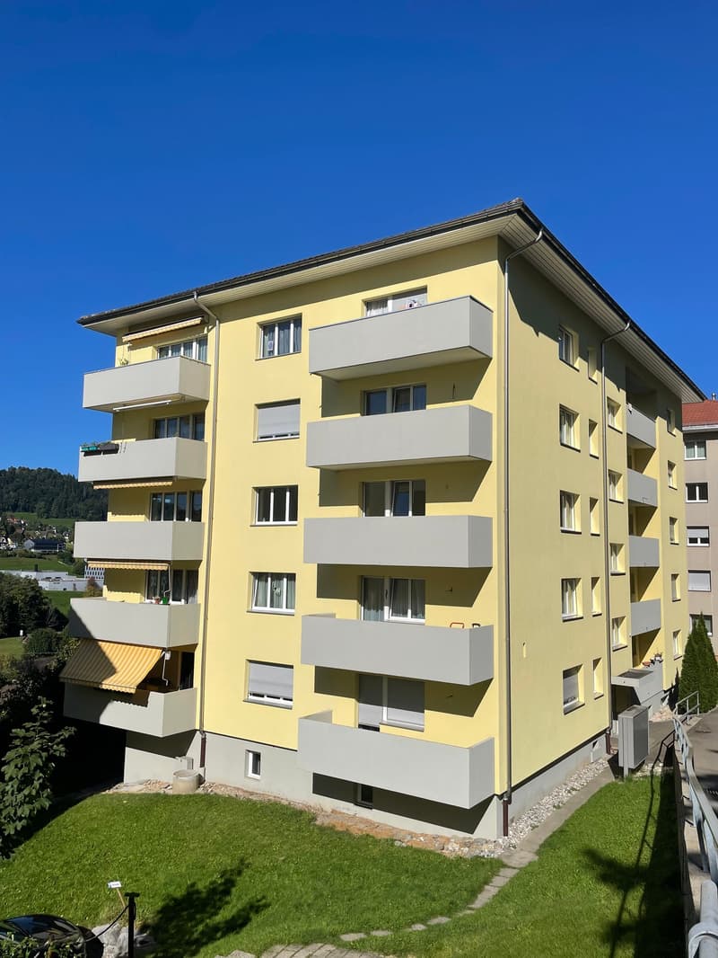 Schöne 1.5 Zimmerwohnung mit Balkon zu vermieten (1)