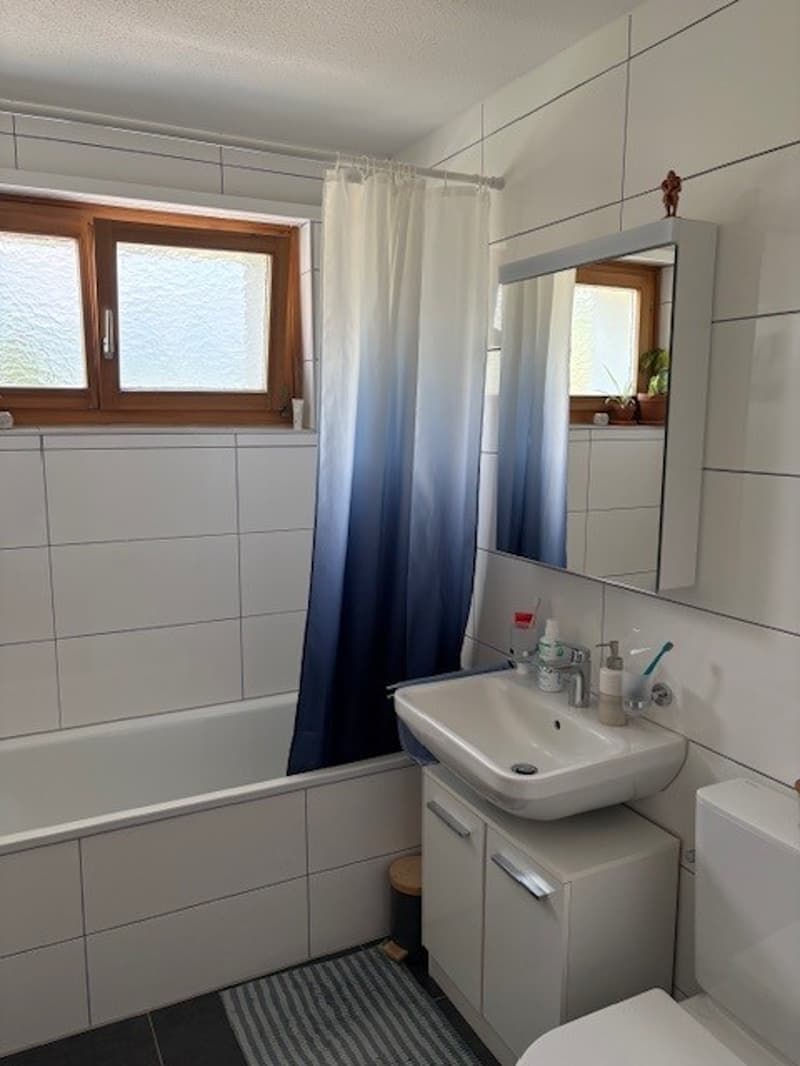 Schöne 2.5 Zimmerwohnung mit idyllischer Aussicht zu vermieten (3)