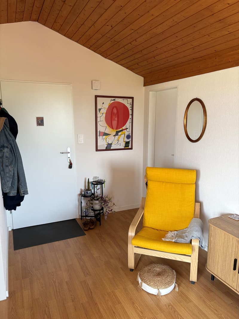 Schöne 2.5 Zimmerwohnung mit idyllischer Aussicht zu vermieten (4)