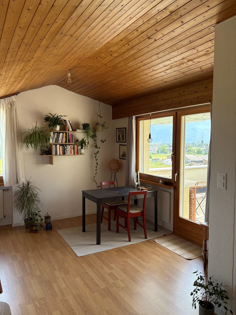 Schöne 2.5 Zimmerwohnung mit idyllischer Aussicht zu vermieten (7)