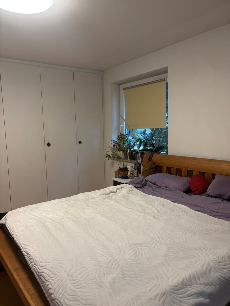 Helle, geräumige 4.5 Zimmerwohnung mit Balkon in Seenähe zu vermieten (5)