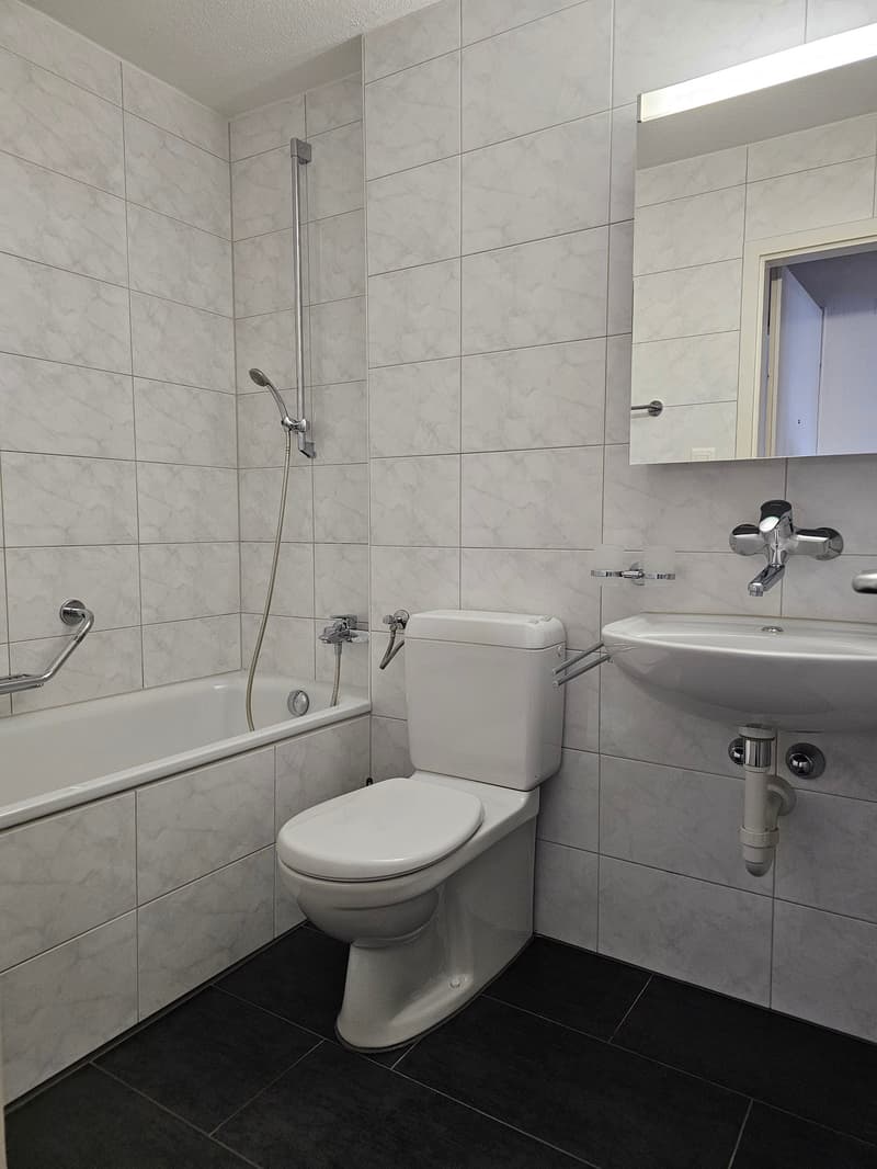 Helle, geräumige 4.5 Zimmerwohnung mit Balkon in Seenähe zu vermieten (3)