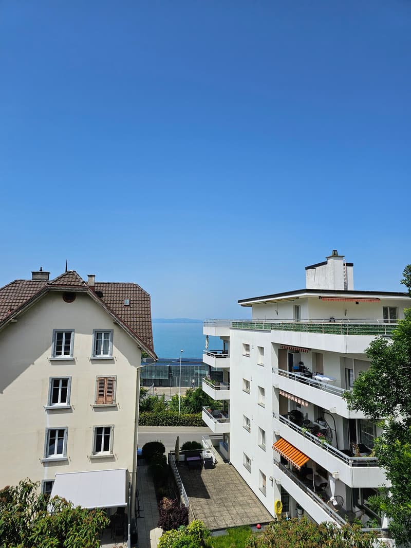 Helle, geräumige 4.5 Zimmerwohnung mit Balkon in Seenähe zu vermieten (11)