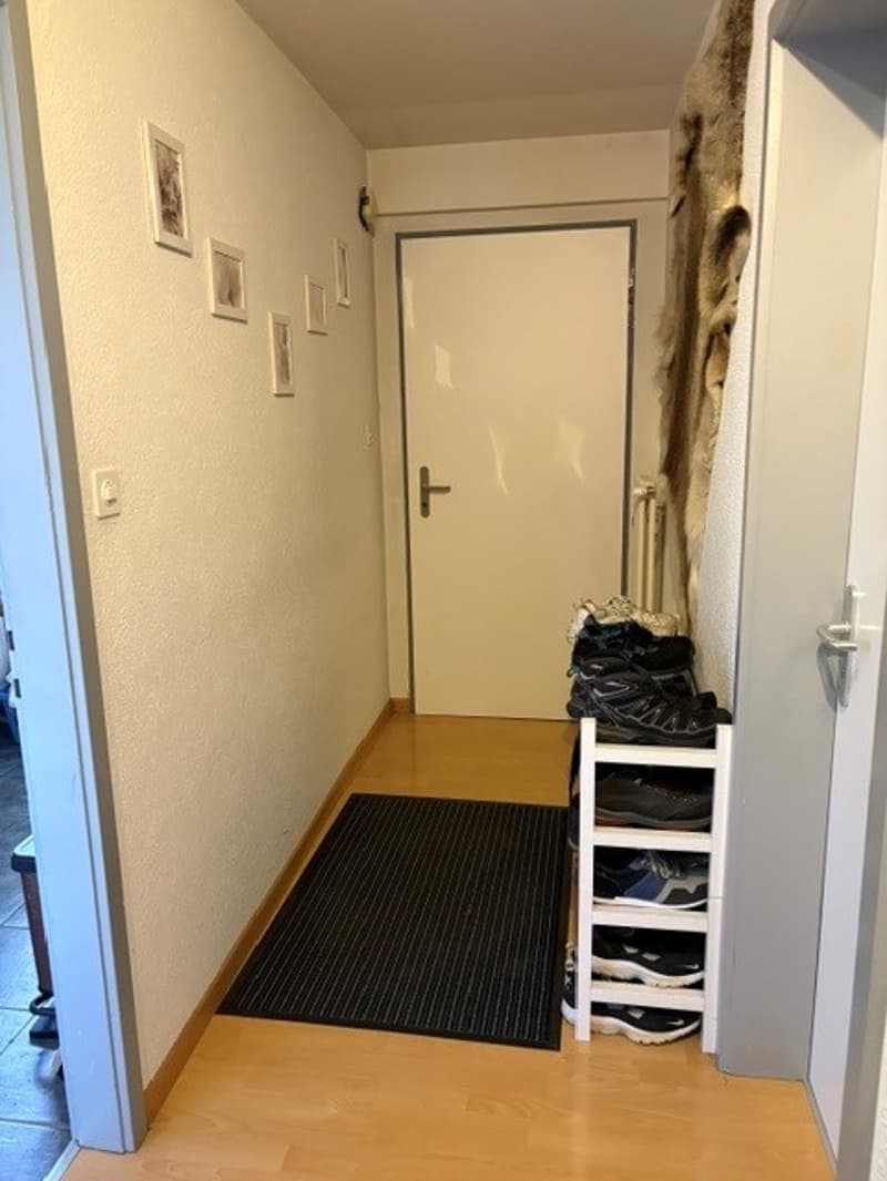Helle, geräumige 4.5 Zimmerwohnung mit Balkon in Seenähe zu vermieten (9)