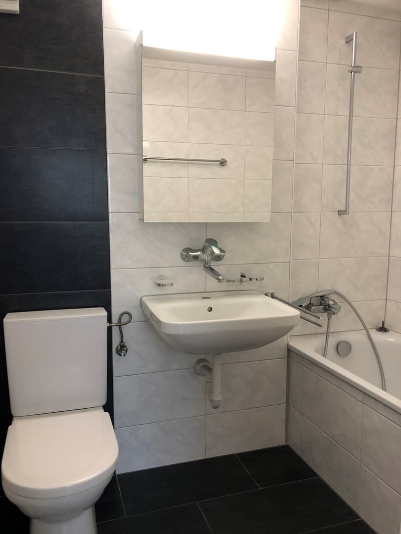 Moderne 2.5 Zimmerwohnung in Rorschach zu vermieten (3)