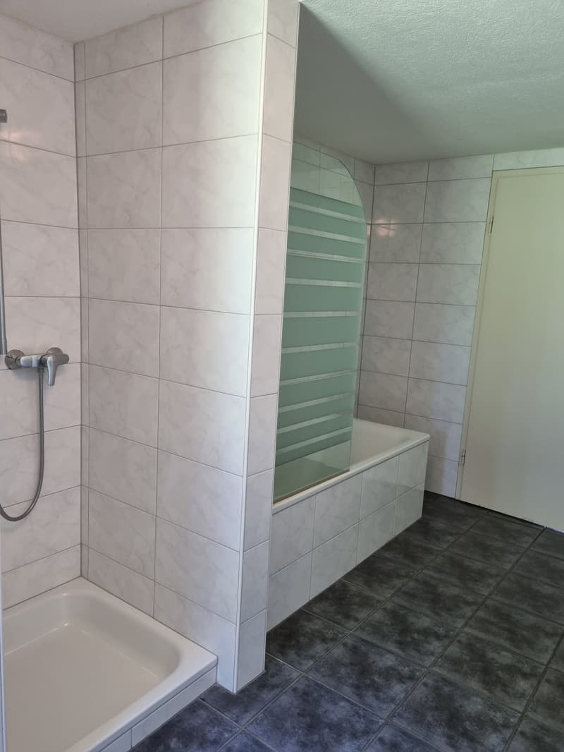 4.5 Zimmerwohnung mit grossem Badezimmer zu vermieten (5)