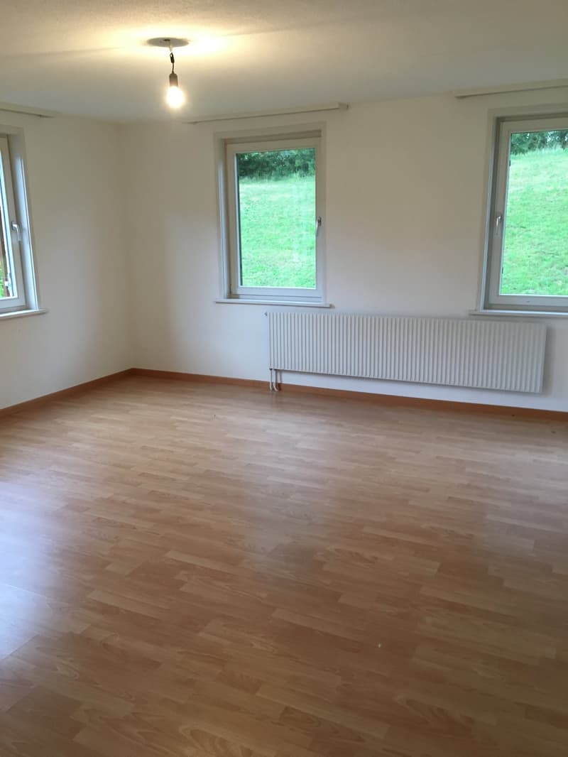 4.5 Zimmerwohnung mit grossem Badezimmer zu vermieten (7)