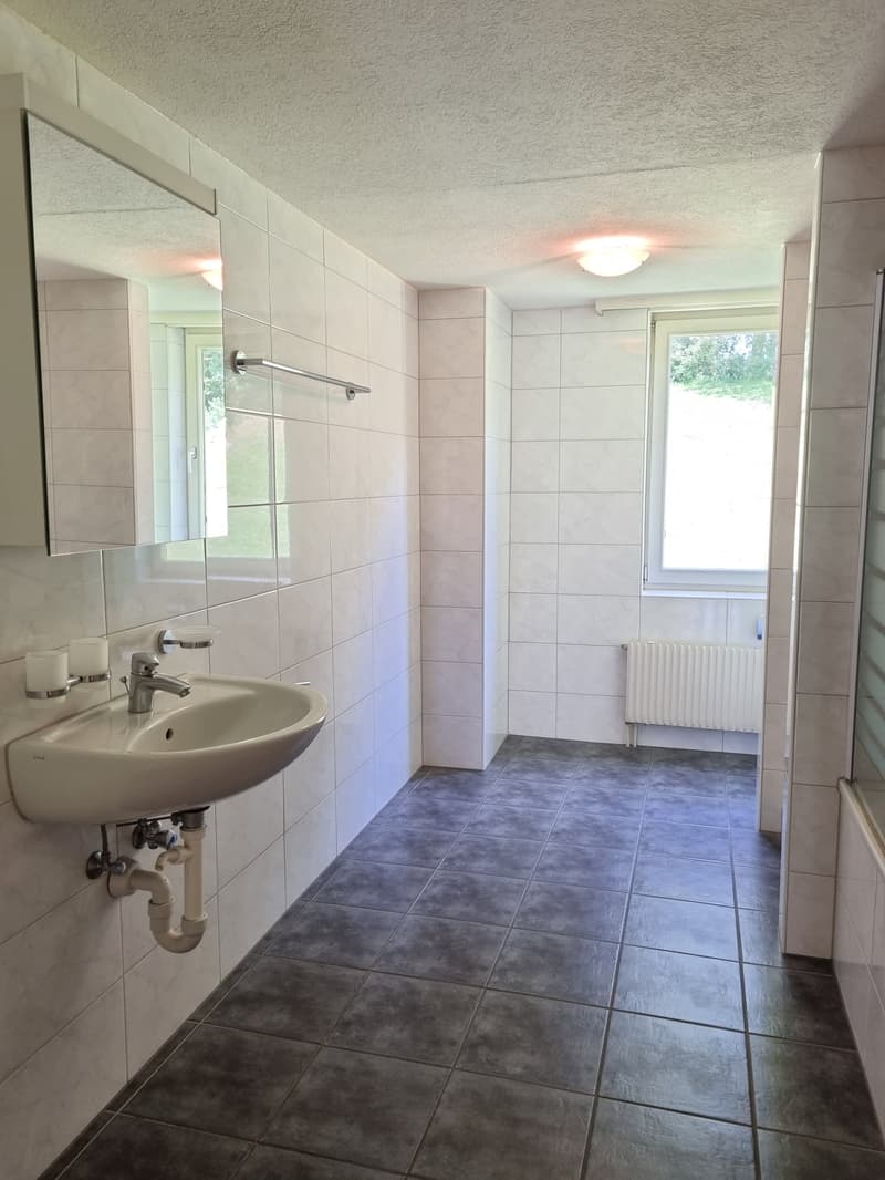 4.5 Zimmerwohnung mit grossem Badezimmer zu vermieten (3)