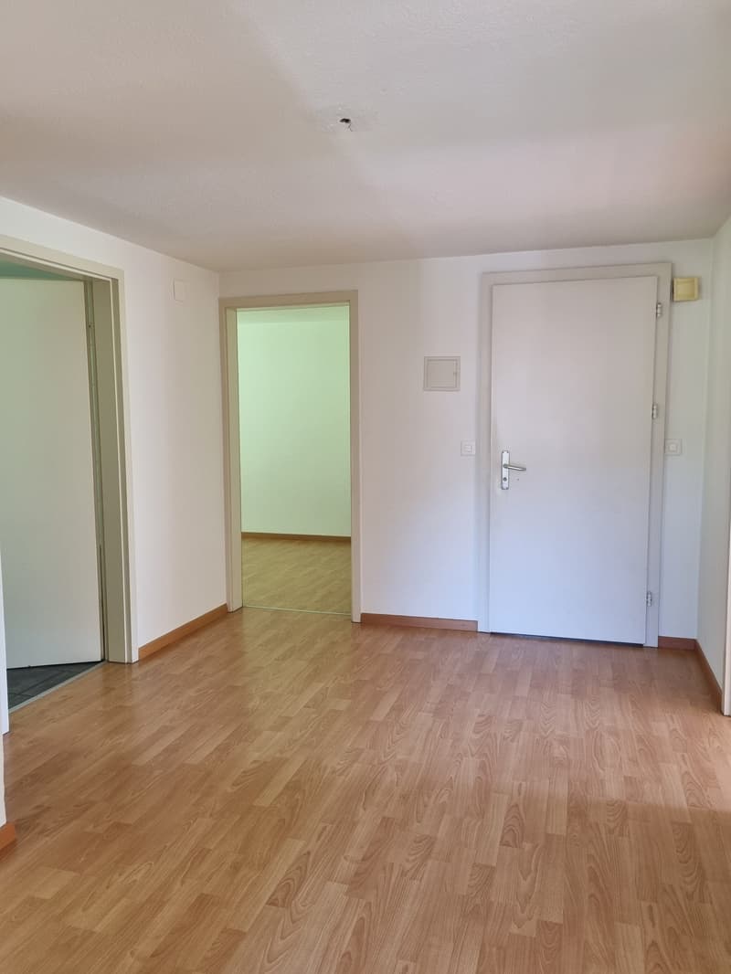 4.5 Zimmerwohnung mit grossem Badezimmer zu vermieten (6)