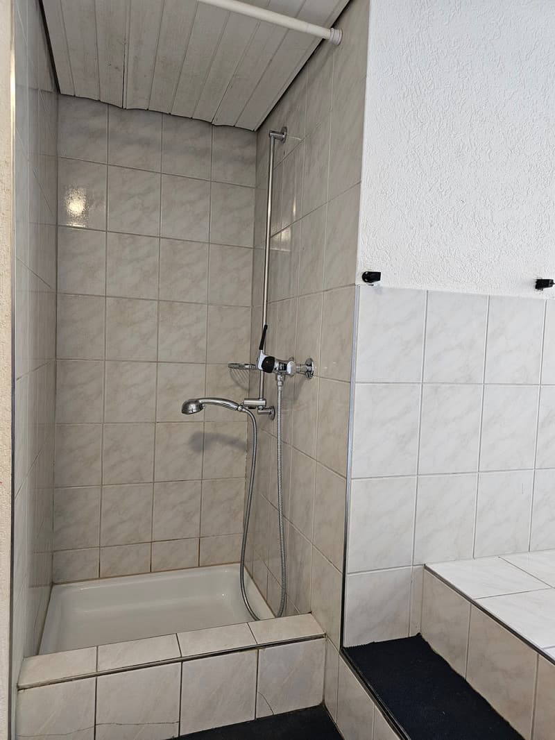 Renovierte 5.5-Zimmerwohnung im Herzen von Herisau (5)