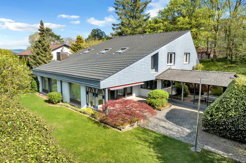 modern house, gray roof, glass windows, glass doors, terrace, garden, brick driveway