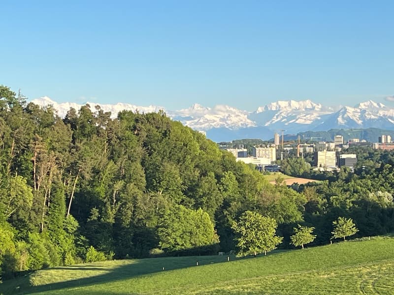 Zuhause ankommen - Weitsicht und Ruhe geniessen! (2)