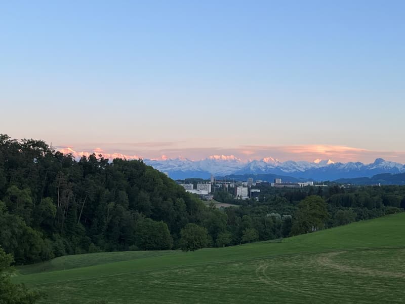 Ein Zuhause. Viel Grün. Ein Ausblick, der bleibt. (8)