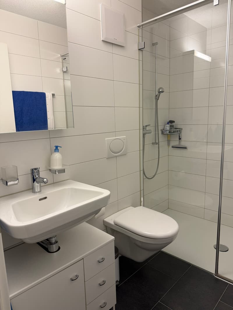 white tiles, white sink, modern shower with overhead shower head, toilet, glass door, towel rack with towel