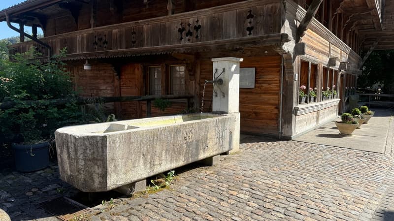 Bijoux 4-Parteienhaus (3)