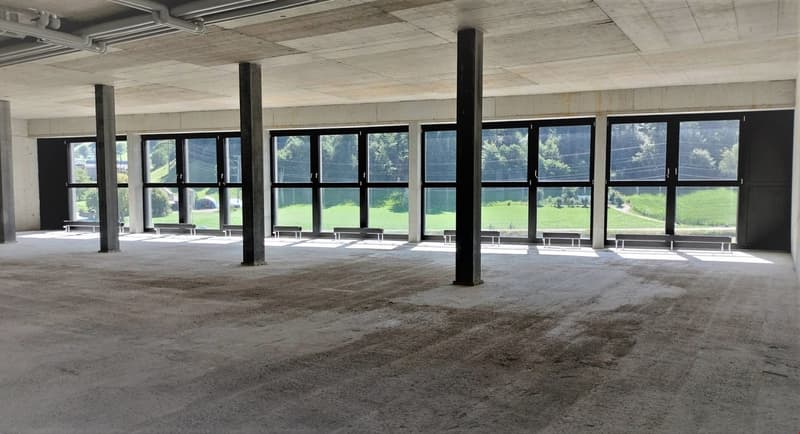 A wide empty room with many windows, two long benches, and pillars