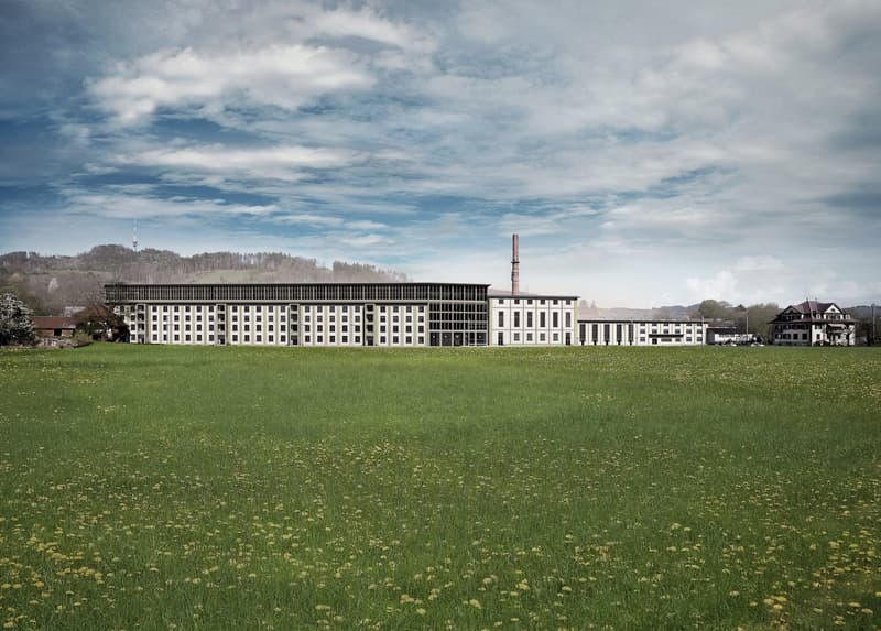 Large white building, industrial style, multiple windows, chimney, open grassy field