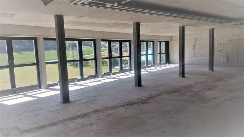 large open space, concrete walls, several windows, high ceiling, pillars