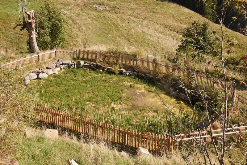 Open area enclosed by wooden fence, stones, grass, trees, distant hills, no property