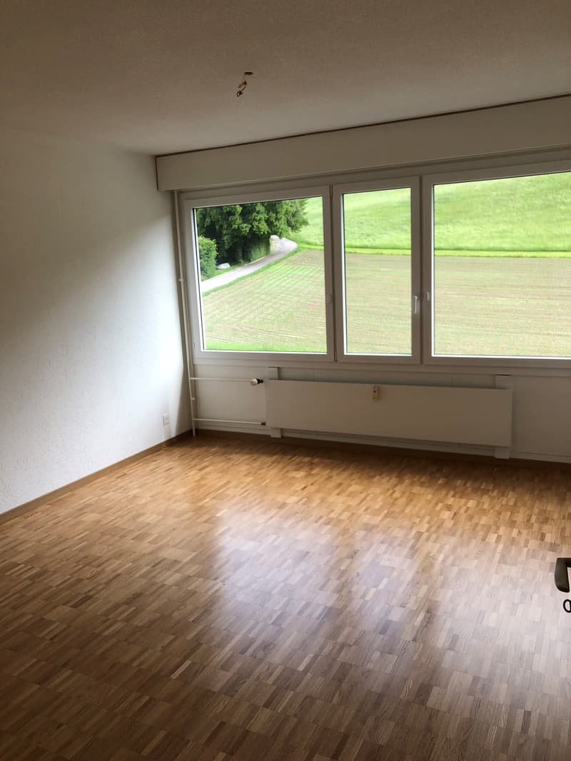 empty room, wooden floor, large windows, white walls, radiator