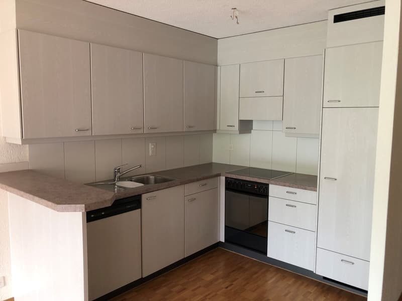 modern kitchen with white cabinets, granite countertop, stainless steel sink, dishwasher, electric stove, wooden floor