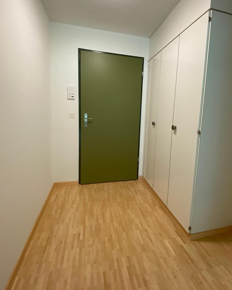 Charmante 1 Zimmer-Parterrewohnung mit Gartensitzplatz (10)