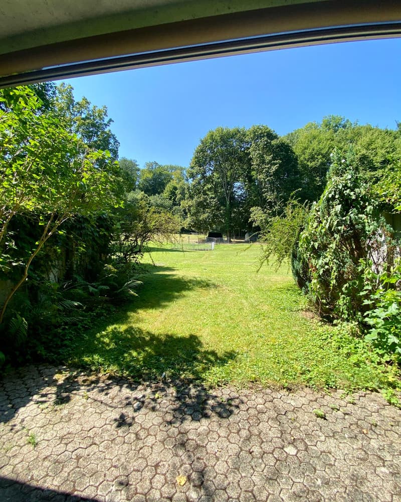 Charmante 1 Zimmer-Parterrewohnung mit Gartensitzplatz (14)