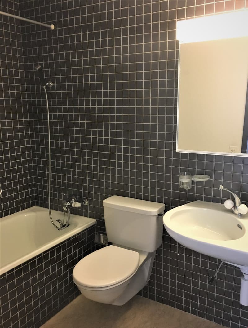 Gemütliche 1.5-Zimmerwohnung - Rückzugsort mit Privatsphäre (7)