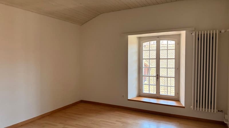 Neues Heim mit eigenem Schlossgarten gewünscht? (8)
