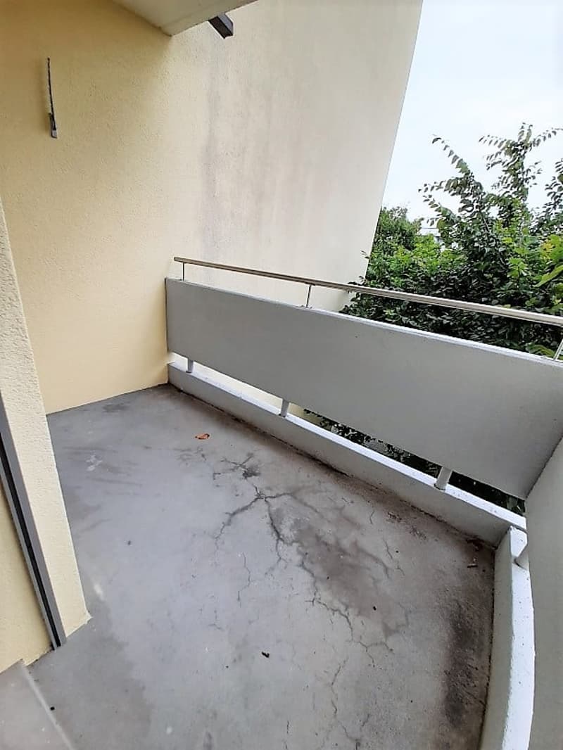 Geniessen Sie den Ausblick ins Grüne (8)