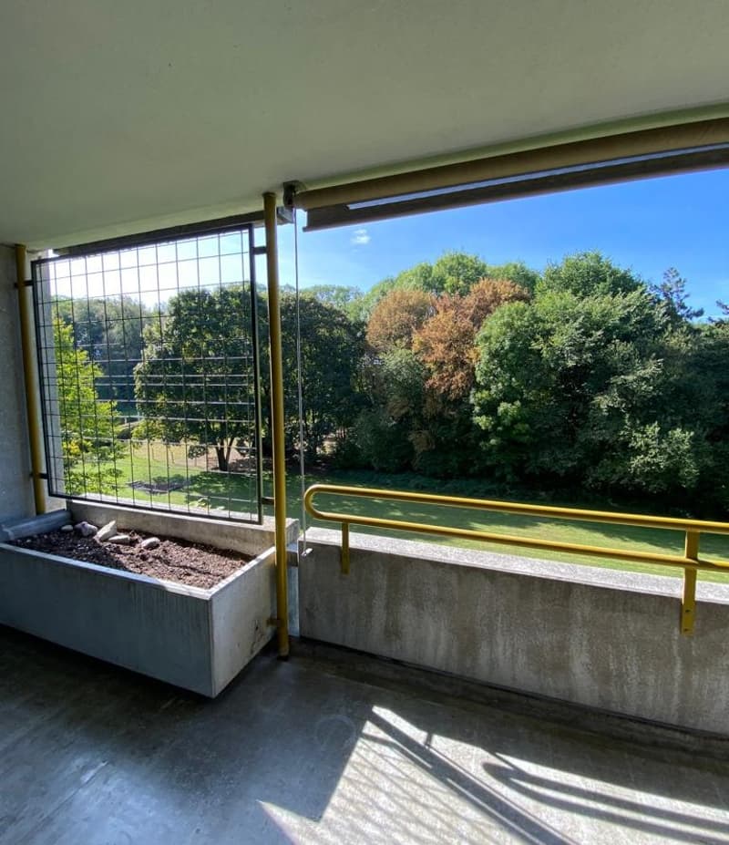 Frisch saniert! Helle 4.5-Zimmerwohnung mit Ausblick ins Grüne (5)