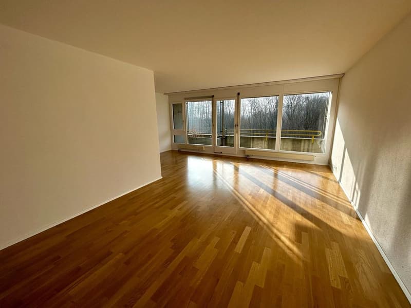 Frisch saniert! Helle 4.5-Zimmerwohnung mit Ausblick ins Grüne (2)