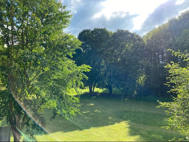 Frisch saniert! Helle 4.5-Zimmerwohnung mit Ausblick ins Grüne (6)