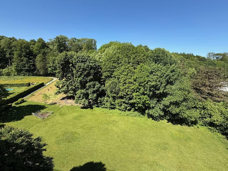 Frisch saniert! Helle 4.5-Zimmerwohnung mit Ausblick ins Grüne (14)
