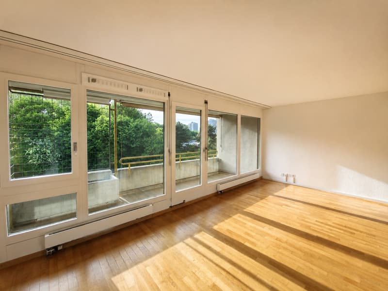 Frisch saniert! Helle 4.5-Zimmerwohnung mit Ausblick ins Grüne (1)