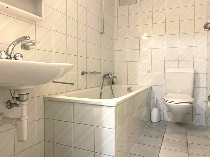 Ihr neues Zuhause im Mattenhofquartier (6)