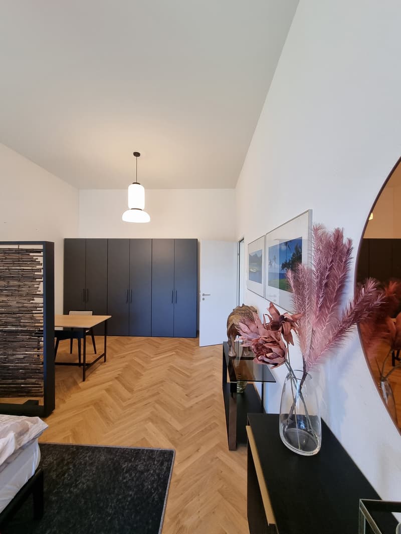 Moderne, stilvoll möblierte 4.5-Zimmerwohnung mit hochwertiger Ausstattung (10)