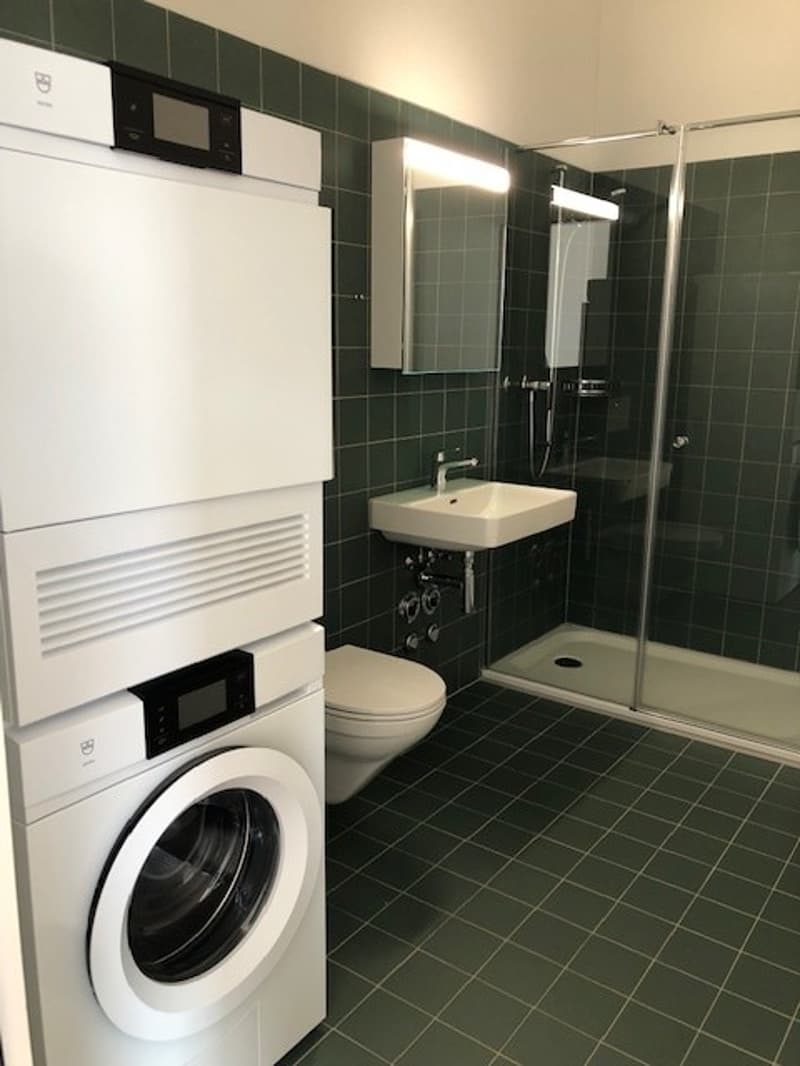 Attraktive 2.5-Zimmerwohnung (3)