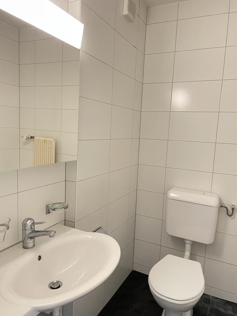 Charmante 3.5-Zimmerwohnung sucht Sie! (6)
