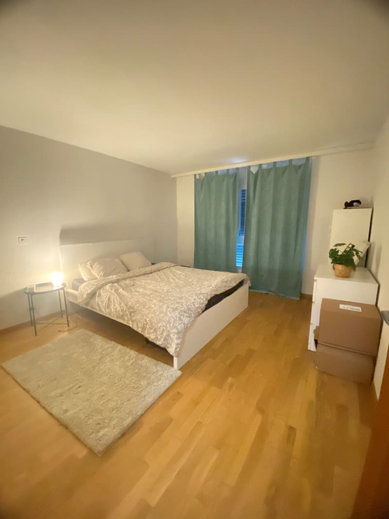 Grosszügige 2-Zimmerwohnung in ruhiger Parkanlage (10)