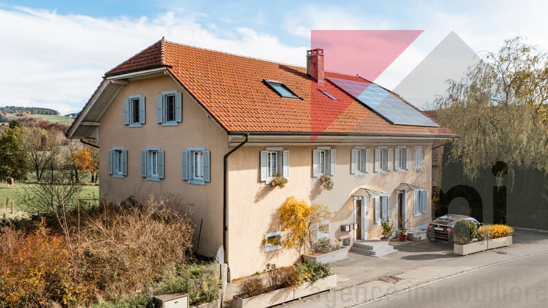 Petit immeuble de trois logements rénovés avec rendement locatif (2)
