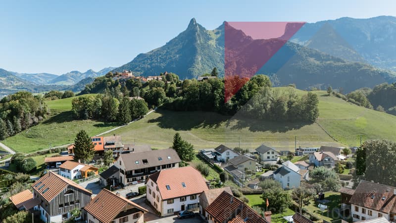 Élégance rustique et confort moderne dans votre futur cocon à Pringy (3)