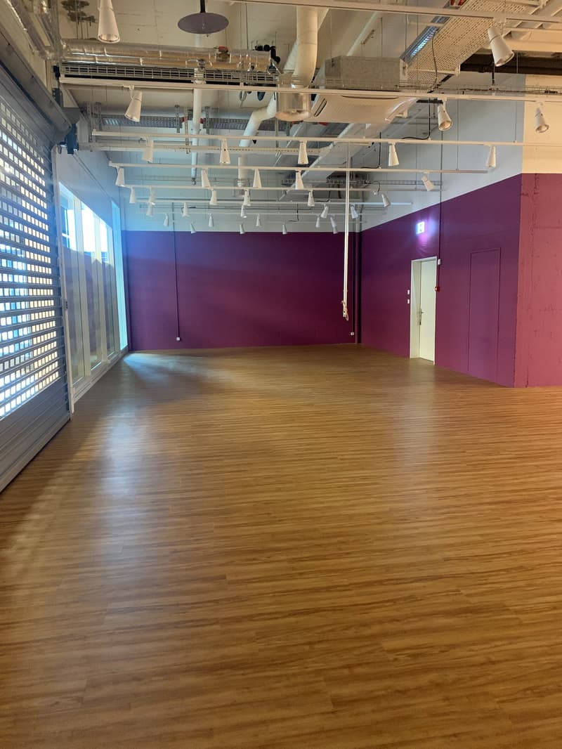 Large open space with hardwood flooring, purple walls, and a suspended ceiling with multiple lighting fixtures.