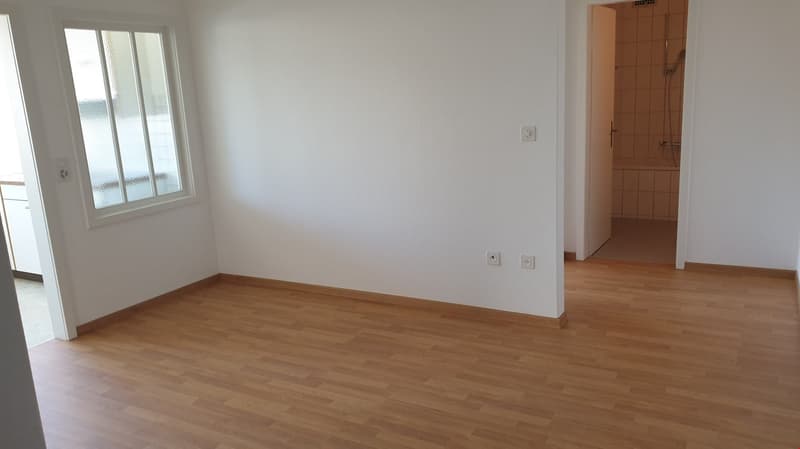 Grosszügige 2.5-Zimmerwohnung direkt an der Igelweid (9)