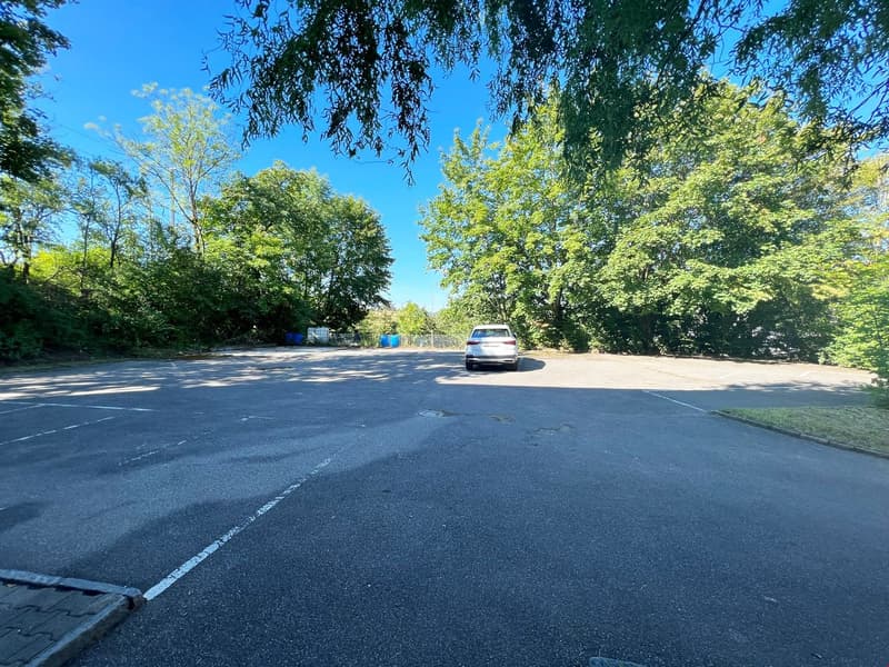 Large paved parking lot surrounded by lush green trees and foliage, with a car parked in the distance.
