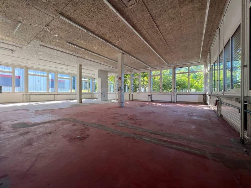 Large open space with high ceilings, exposed beams, and large windows overlooking greenery outside. The floor is a reddish-brown color, and the space appears to be in a state of renovation or preparation for a new use.