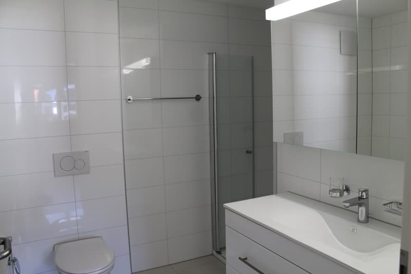 Badezimmer 1