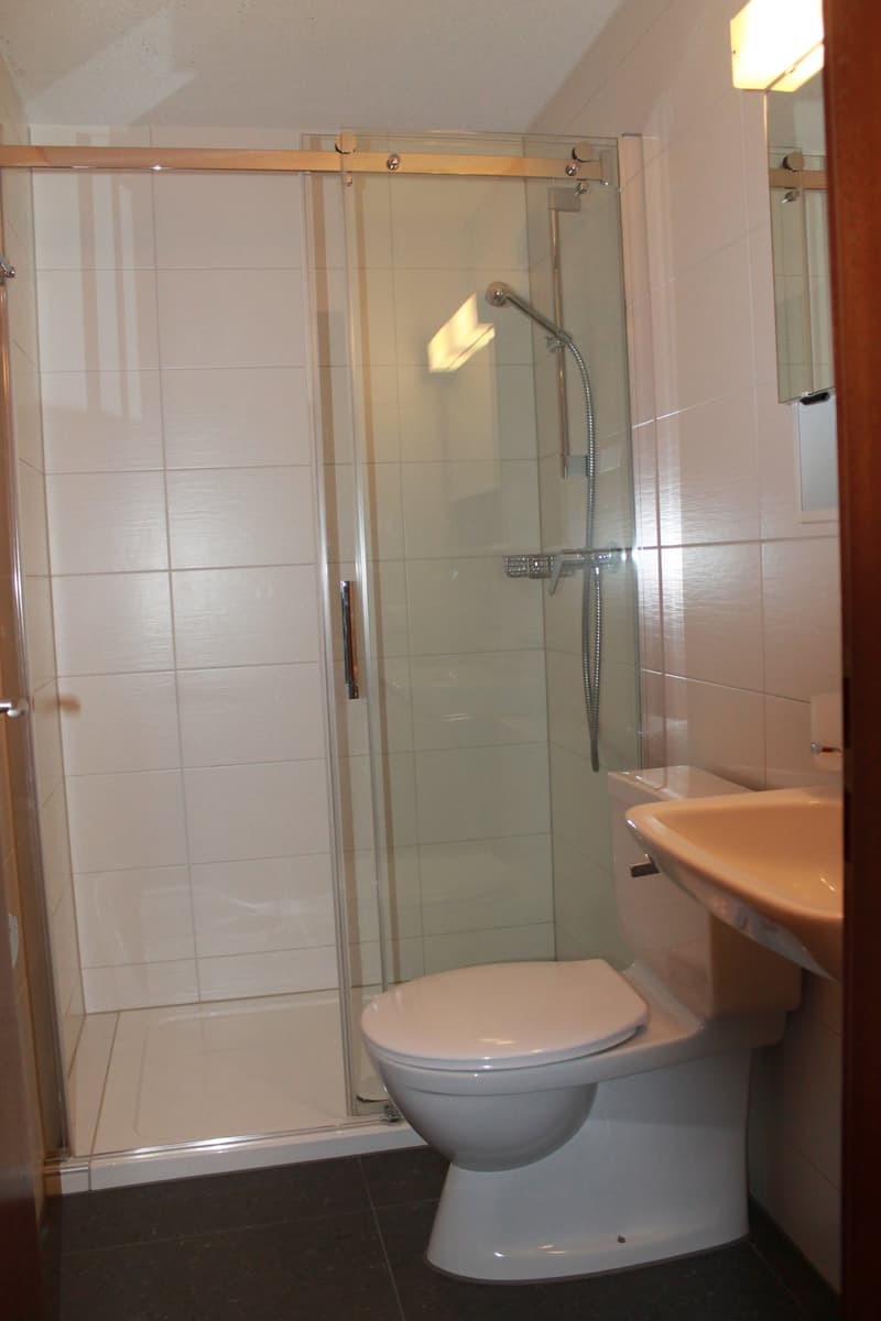 Schöne, helle 4-Zimmer-Wohnung in Frutigen (4)