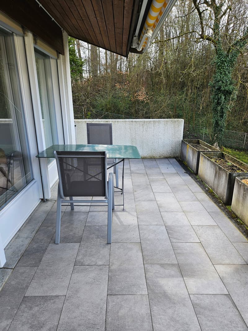 3,5 bzw. 4,5 Zimmer Reihen-Eck-Einfamilienhaus top Zustand (108 m2) mit grosser Gartenanlage (7)